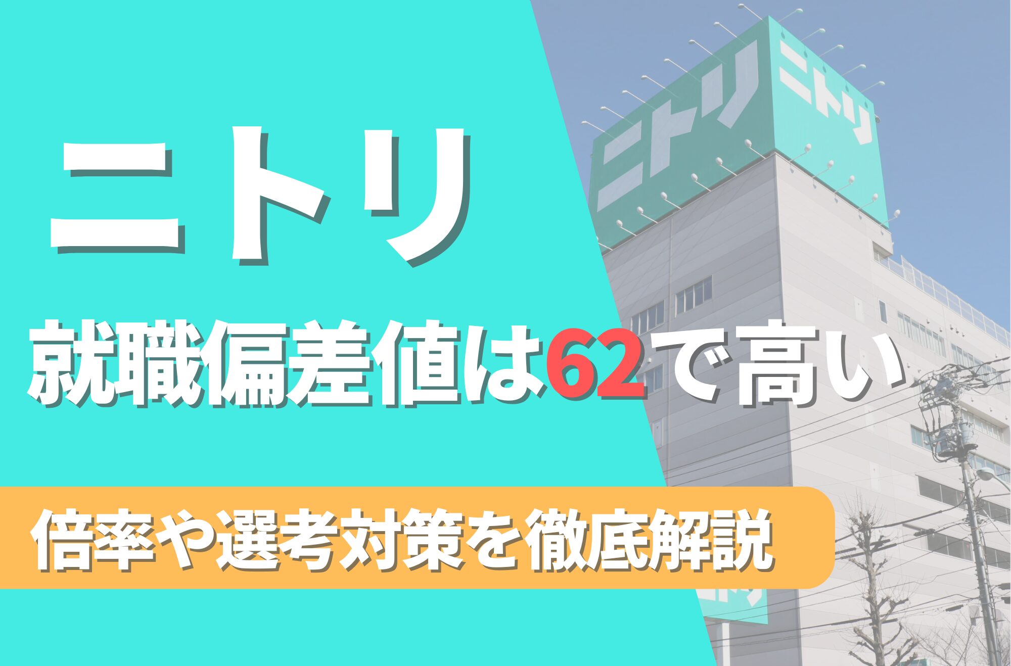 【新卒】ニトリの就職難易度は偏差値62で高い！倍率や選考対策を徹底解説